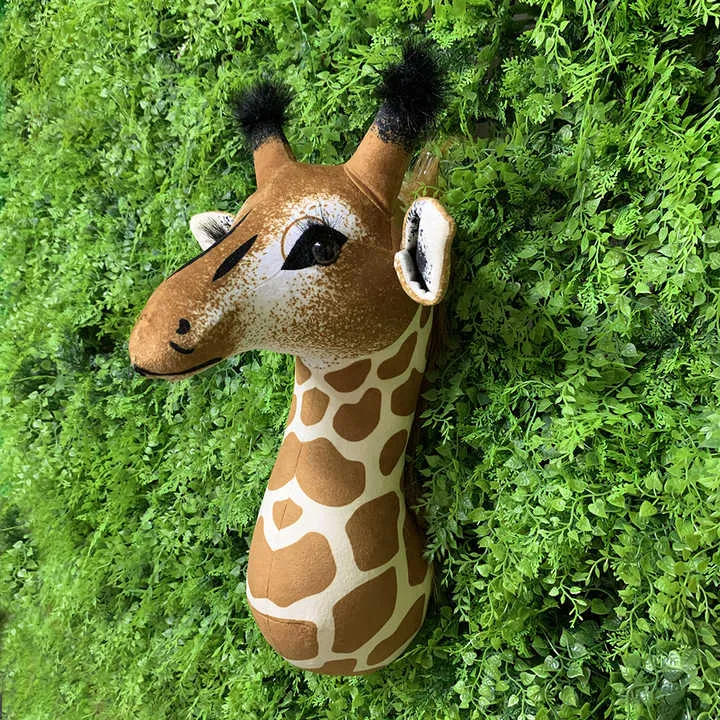 حيوان زرافه-giraffe