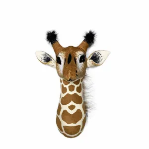 حيوان زرافه-giraffe