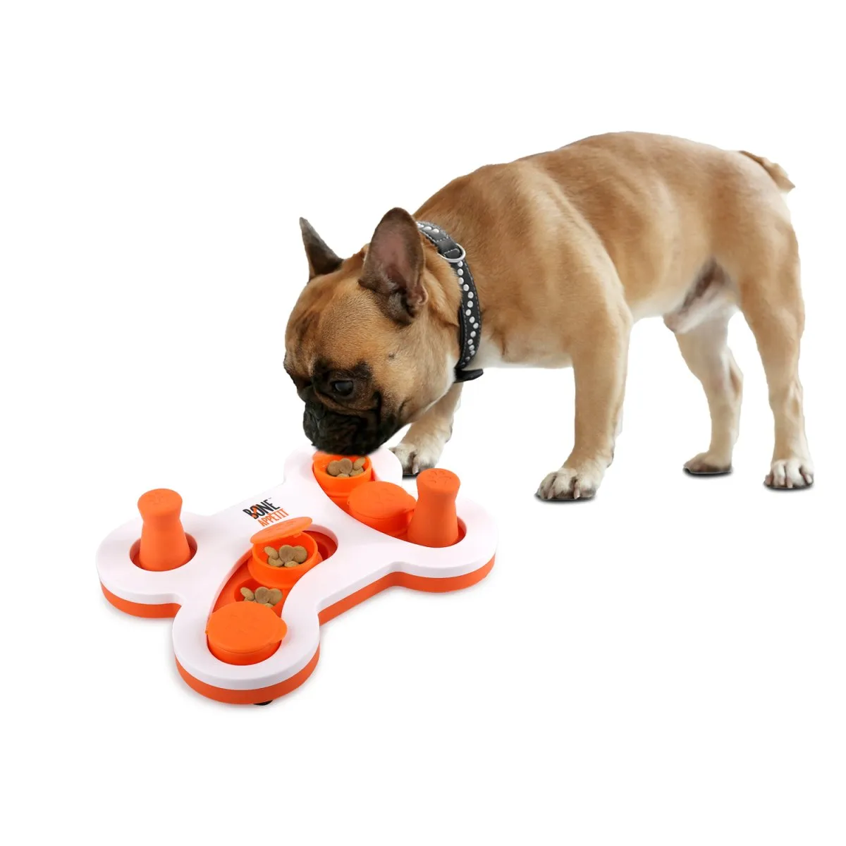 All For Paws Bone Appetit Flip'N'Slide