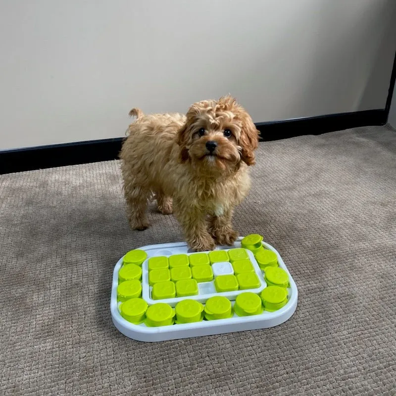 All For Paws Interactives Dog Sokudo Puzzle Toy