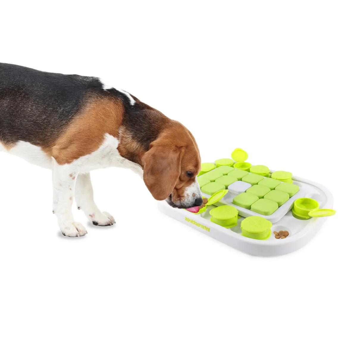 All For Paws Interactives Dog Sokudo Puzzle Toy