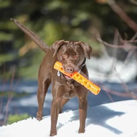 Chuckit! Baton Breathe Easy Dog Toy
