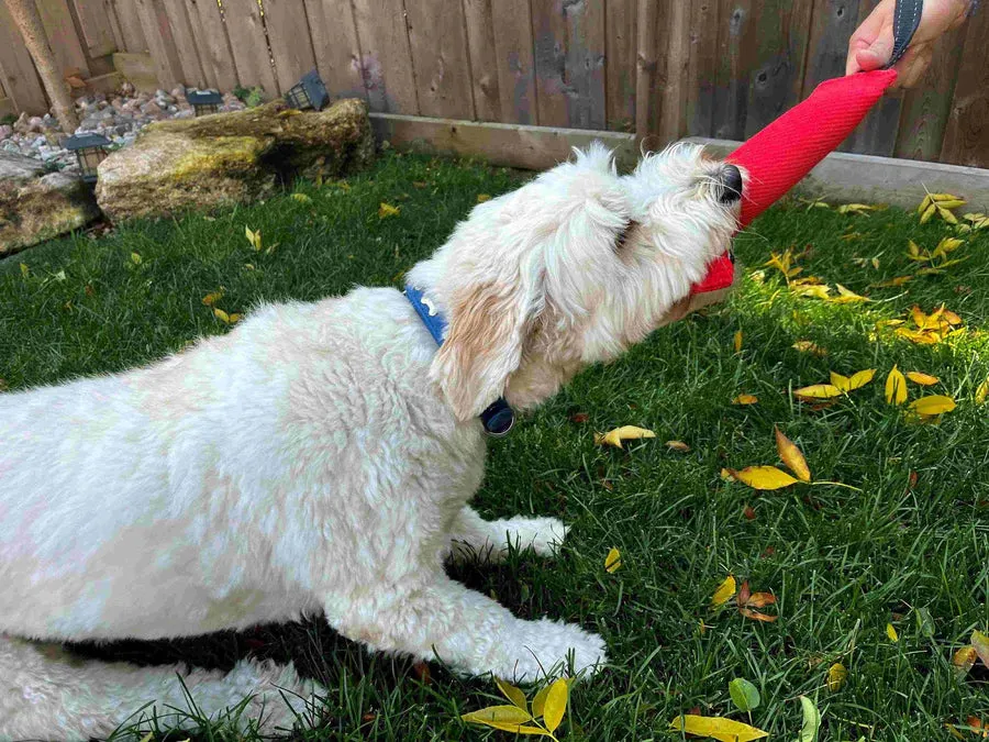 Freedom Dog Tug -1 Handle