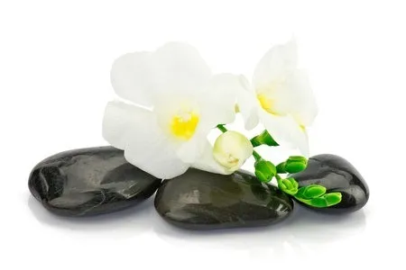 Self-paced Online Home Study 12 CE Hot Stone Massage Workshop